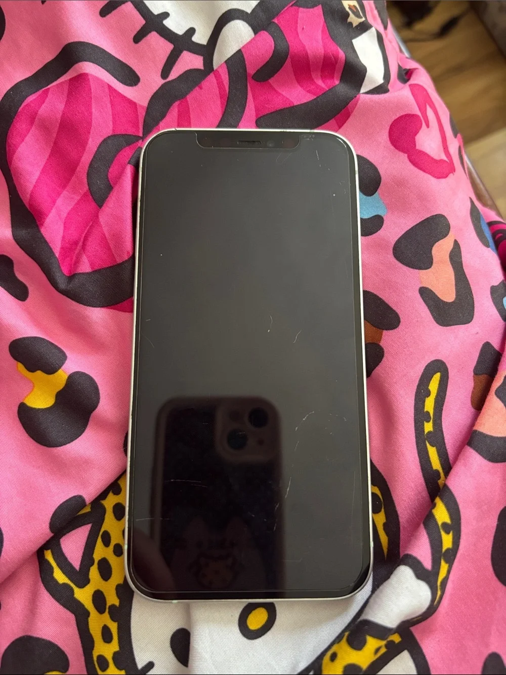 Apple iPhone 12 in mint green with Silver Apple Logo